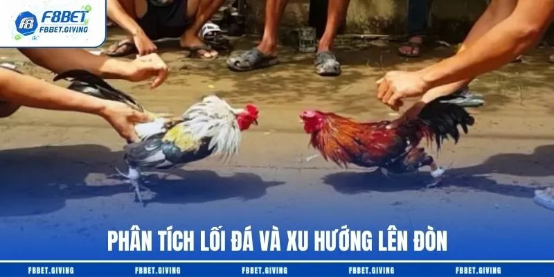 Phân tích lối đá và xu hướng lên đòn