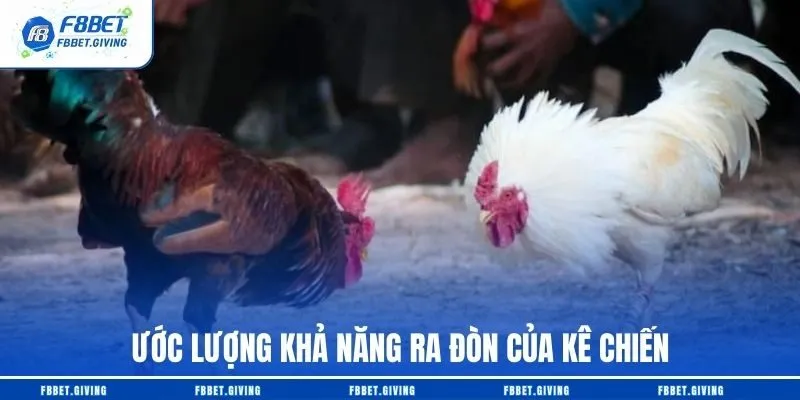 Ước lượng khả năng ra đòn của kê chiến
