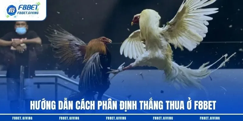 Hướng dẫn cách phân định thắng thua ở F8BET