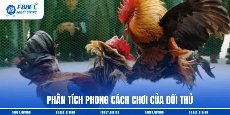 Đá Gà Trực Tiếp F8BET – Top 1 Sàn Đấu Hàng Nghìn Trận Đấu Mỗi Ngày 4 Phân tích phong cách chơi của đối thủ